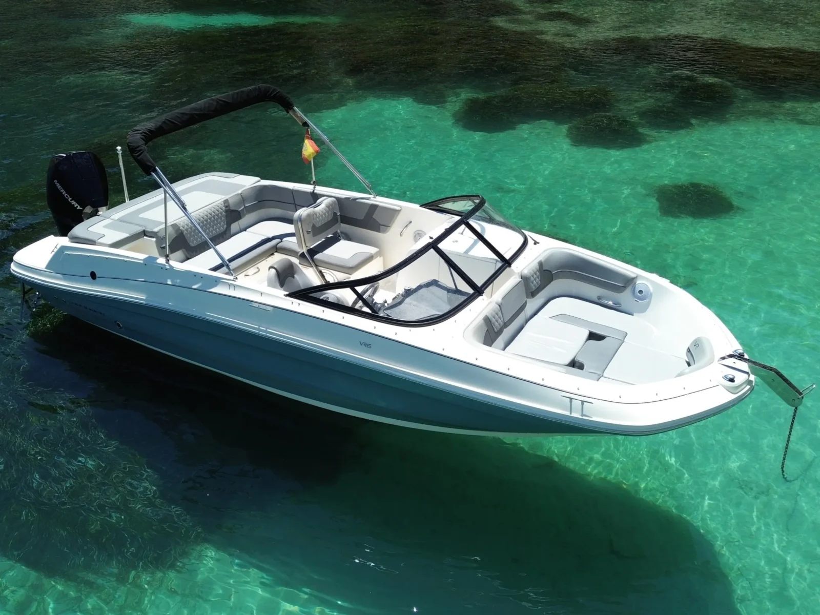 Bayliner Vr6 OB Sinkevicius